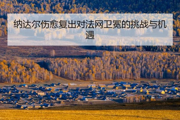 na-da-er-shang-yu-fu-chu-dui-fa-wang-wei-mian-de-tiao-zhan-yu-ji-yu-2-914.jpg